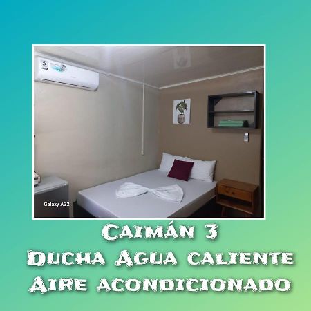 Caimán 3 Tortuguero Exterior foto