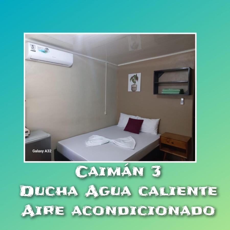 Caimán 3 Tortuguero Exterior foto