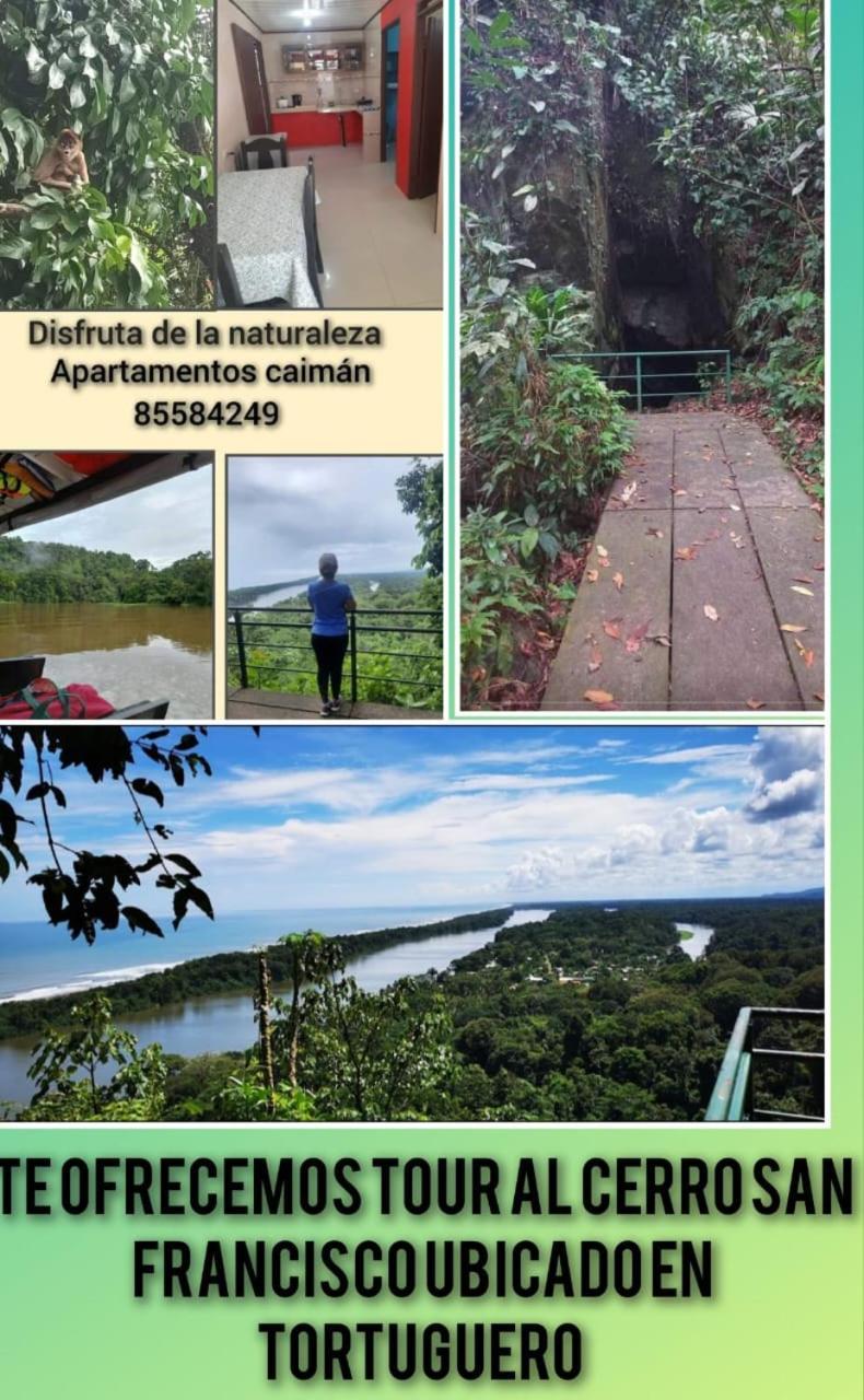 Caimán 3 Tortuguero Exterior foto